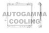 AUTOGAMMA 105207 Radiator, engine cooling